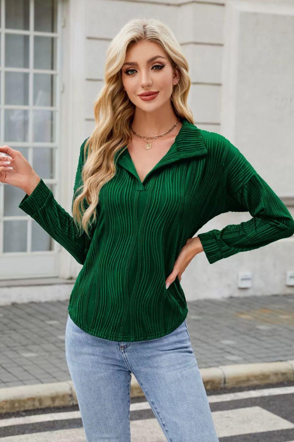 Texture Collared Neck Long Sleeve Blouse