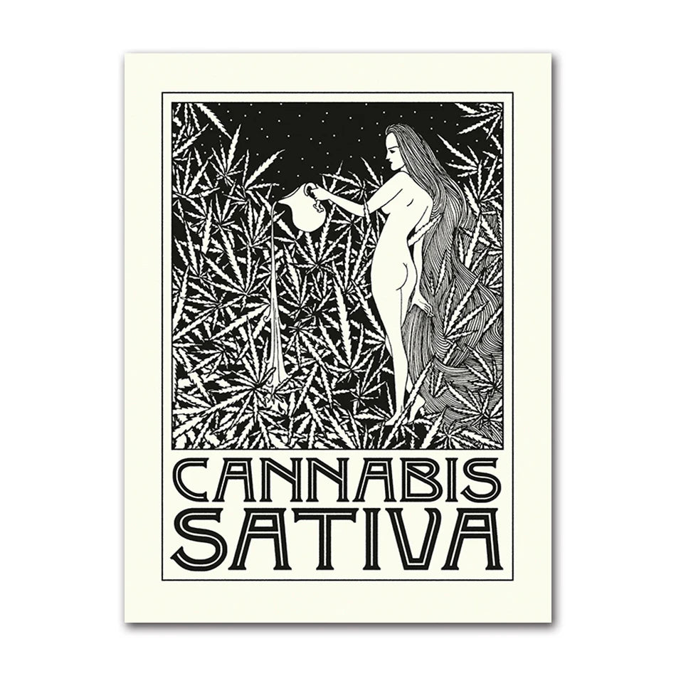 Black White Cannabis Posters and Prints Indica and Sativa Art Nouveau Canvas Painting Wall Pictures for Living Room Home Decor