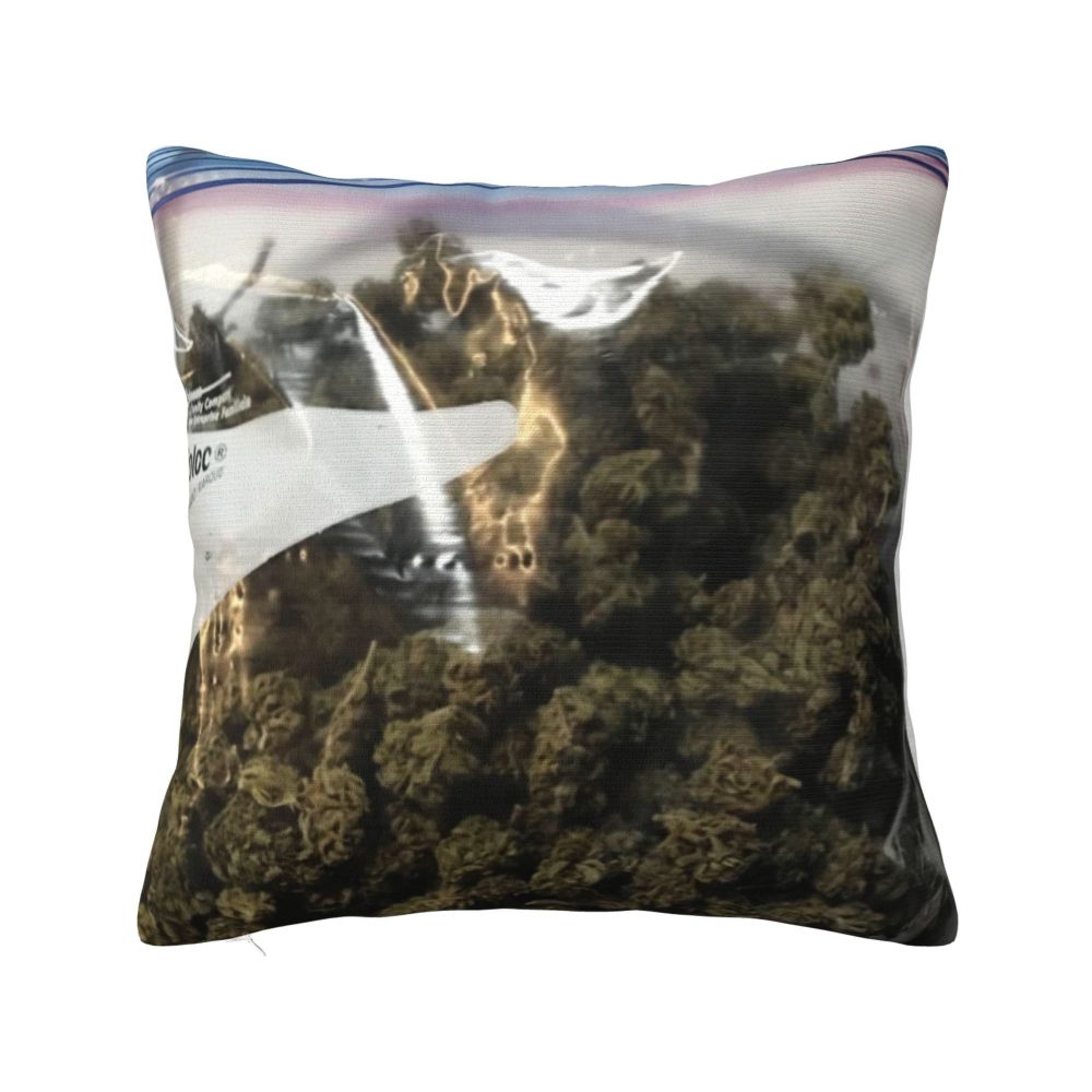 Stoner Weed Cannabis Marijuana Pillowcase Polyester Linen Velvet Printed Zip Decor Home Cushion Cover Wholesale